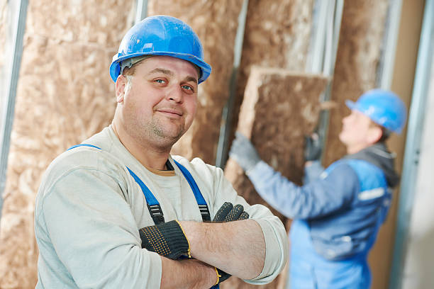 Best Basement Insulation  in Oyster Creek, TX